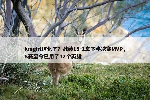 knight进化了？战绩19-1拿下半决赛MVP，S赛至今已用了12个英雄