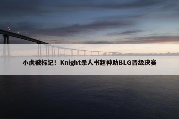 小虎被标记！Knight杀人书超神助BLG晋级决赛