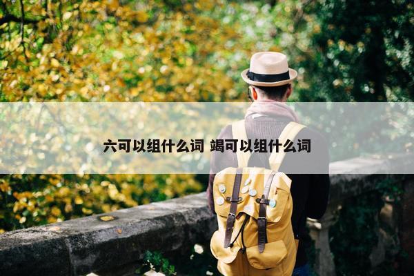 六可以组什么词 竭可以组什么词