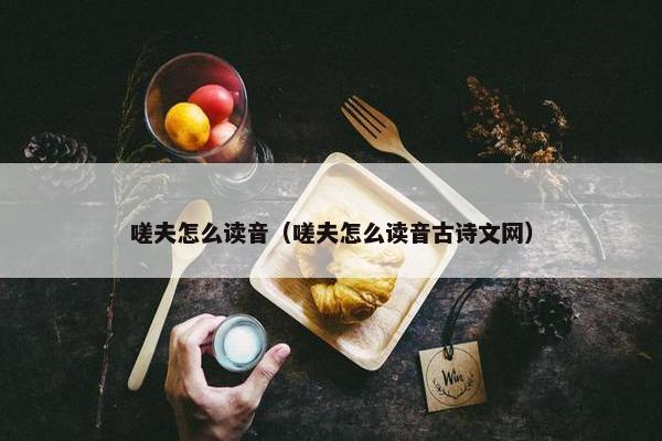 嗟夫怎么读音（嗟夫怎么读音古诗文网）