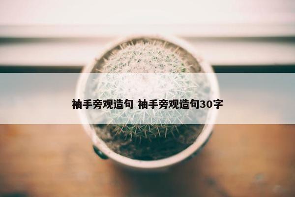 袖手旁观造句 袖手旁观造句30字