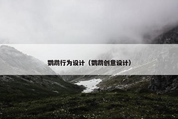 鹦鹉行为设计（鹦鹉创意设计）