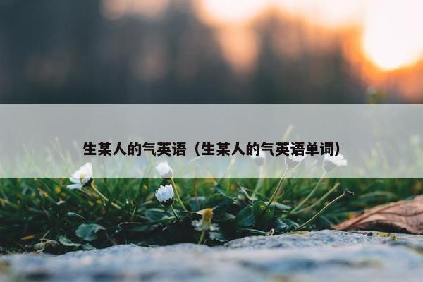 生某人的气英语（生某人的气英语单词）