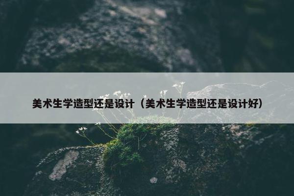 美术生学造型还是设计（美术生学造型还是设计好）