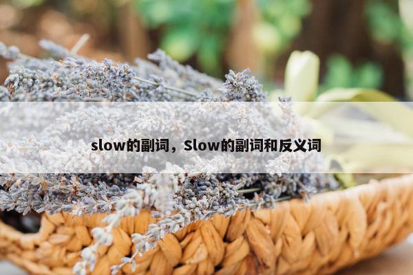 slow的副词，Slow的副词和反义词