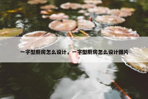 一字型厨房怎么设计，一字型厨房怎么设计图片