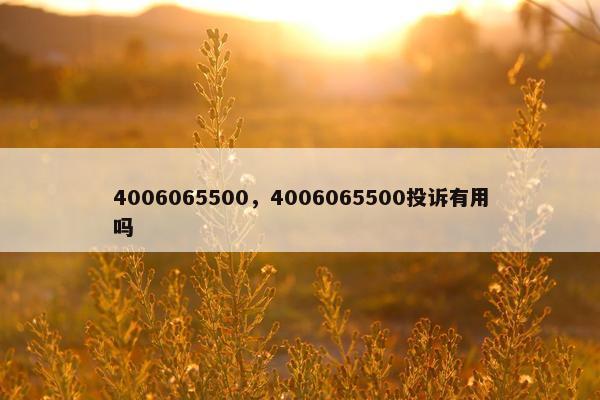 4006065500，4006065500投诉有用吗