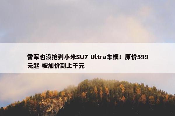 雷军也没抢到小米SU7 Ultra车模！原价599元起 被加价到上千元