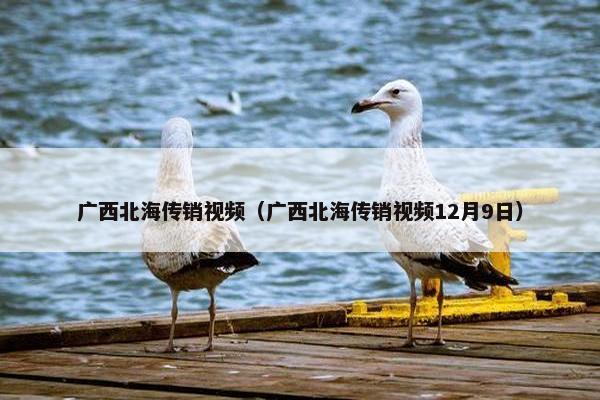 广西北海传销视频（广西北海传销视频12月9日）