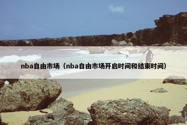 nba自由市场（nba自由市场开启时间和结束时间）