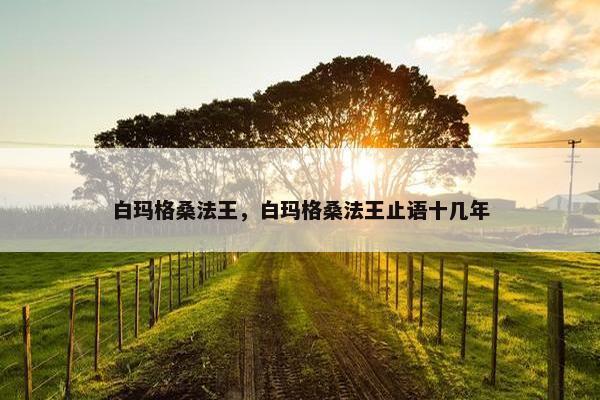 白玛格桑法王，白玛格桑法王止语十几年