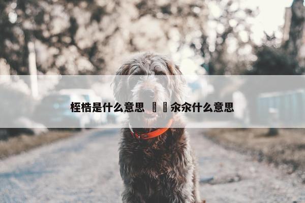 桎梏是什么意思 仚屳氽汆什么意思