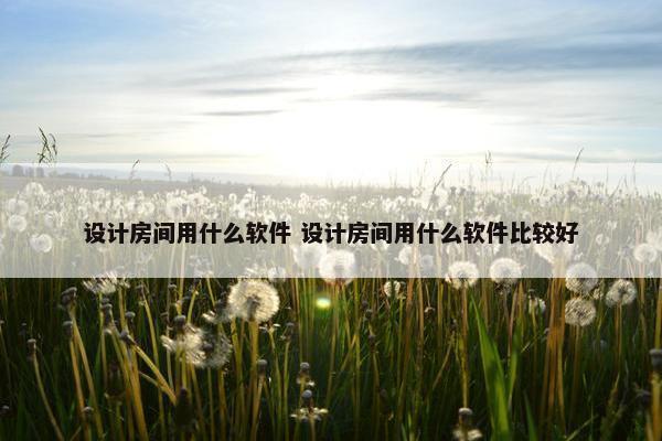 设计房间用什么软件 设计房间用什么软件比较好