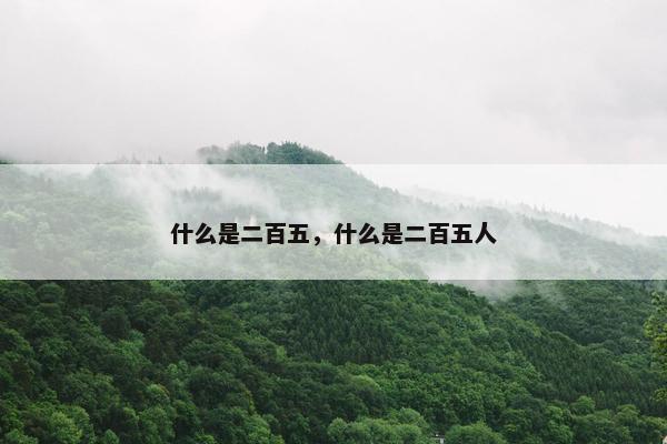 什么是二百五，什么是二百五人