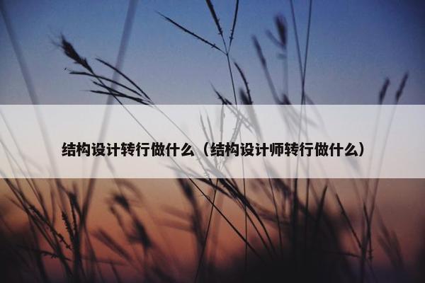 结构设计转行做什么（结构设计师转行做什么）