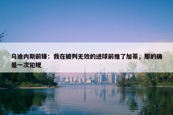 乌迪内斯前锋：我在被判无效的进球前推了加蒂，那的确是一次犯规