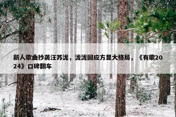 新人歌曲抄袭汪苏泷，泷泷回应方显大格局，《有歌2024》口碑翻车