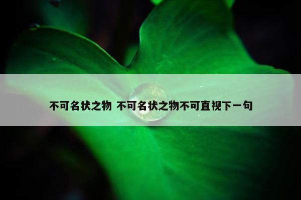 不可名状之物 不可名状之物不可直视下一句