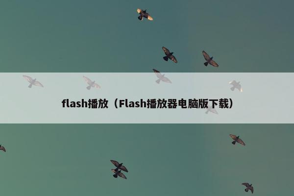 flash播放（Flash播放器电脑版下载）