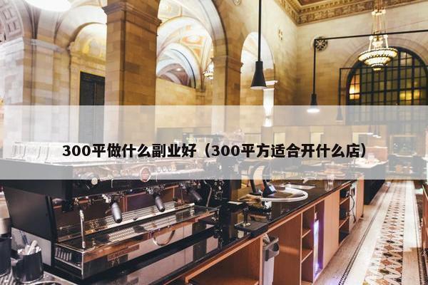 300平做什么副业好（300平方适合开什么店）