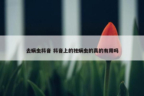 去螨虫抖音 抖音上的祛螨虫的真的有用吗