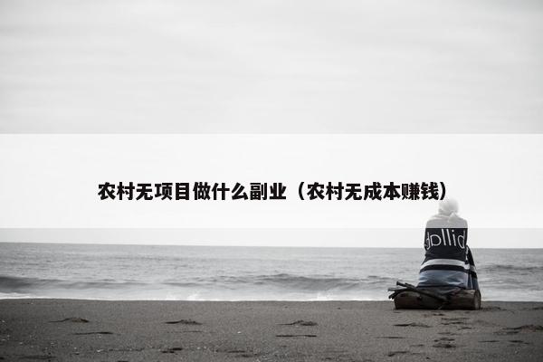 农村无项目做什么副业（农村无成本赚钱）