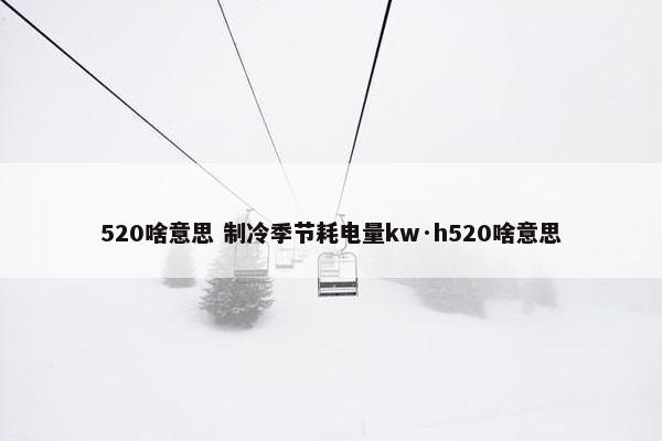 520啥意思 制冷季节耗电量kw·h520啥意思