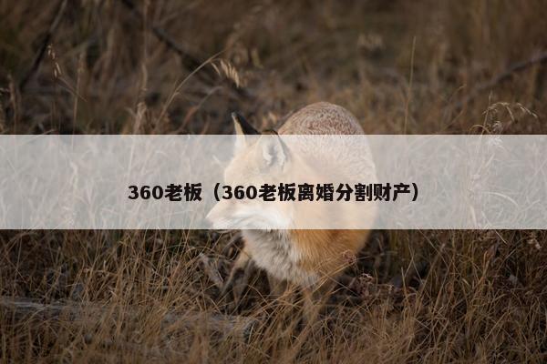 360老板（360老板离婚分割财产）