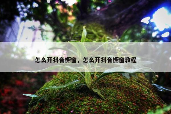 怎么开抖音橱窗，怎么开抖音橱窗教程