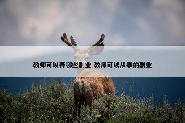 教师可以弄哪些副业 教师可以从事的副业