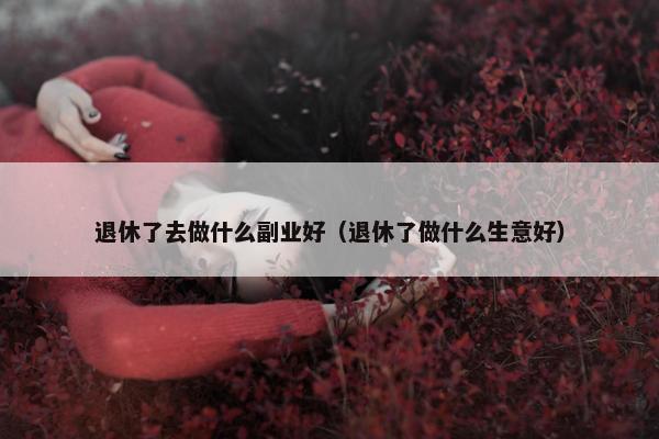 退休了去做什么副业好（退休了做什么生意好）