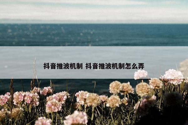 抖音推波机制 抖音推波机制怎么弄