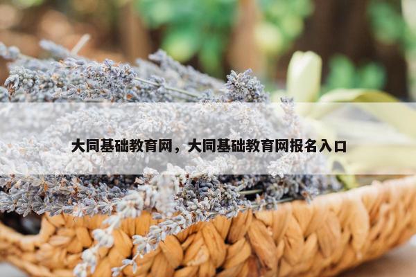 大同基础教育网，大同基础教育网报名入口