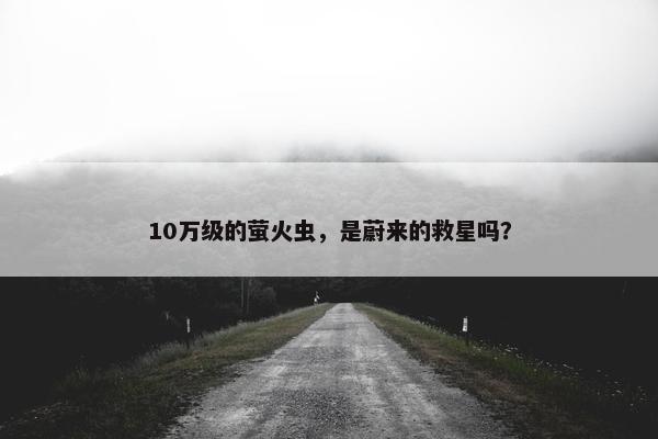 10万级的萤火虫，是蔚来的救星吗？