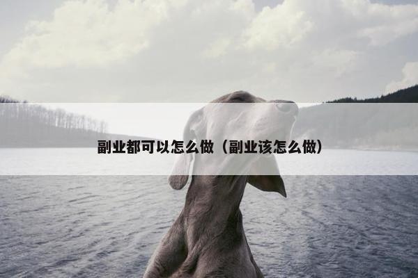 副业都可以怎么做（副业该怎么做）