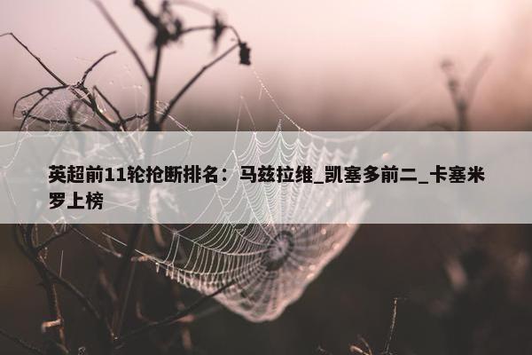 英超前11轮抢断排名：马兹拉维_凯塞多前二_卡塞米罗上榜