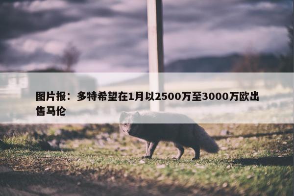 图片报：多特希望在1月以2500万至3000万欧出售马伦