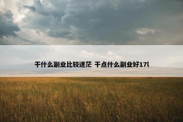 干什么副业比较迷茫 干点什么副业好17l