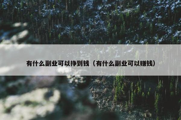 有什么副业可以挣到钱（有什么副业可以赚钱）