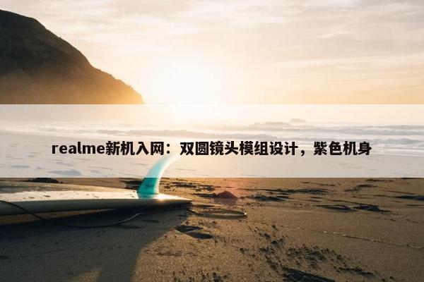 realme新机入网：双圆镜头模组设计，紫色机身