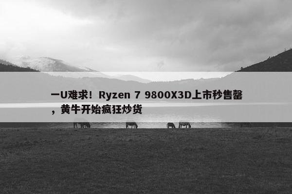 一U难求！Ryzen 7 9800X3D上市秒售罄，黄牛开始疯狂炒货