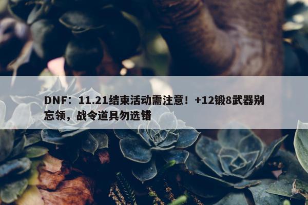 DNF：11.21结束活动需注意！+12锻8武器别忘领，战令道具勿选错