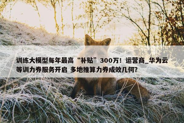 训练大模型每年最高“补贴”300万！运营商_华为云等训力券服务开启 多地推算力券成效几何？