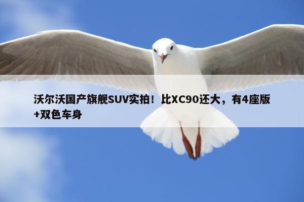 沃尔沃国产旗舰SUV实拍！比XC90还大，有4座版+双色车身