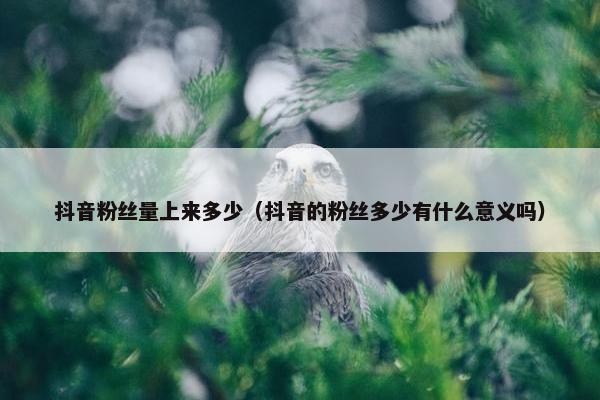 抖音粉丝量上来多少（抖音的粉丝多少有什么意义吗）