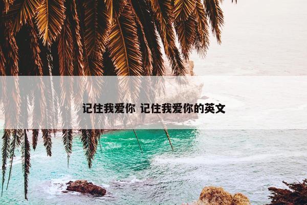 记住我爱你 记住我爱你的英文