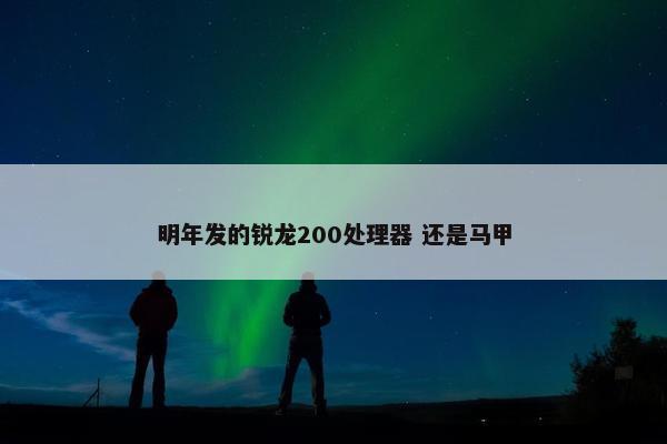 明年发的锐龙200处理器 还是马甲