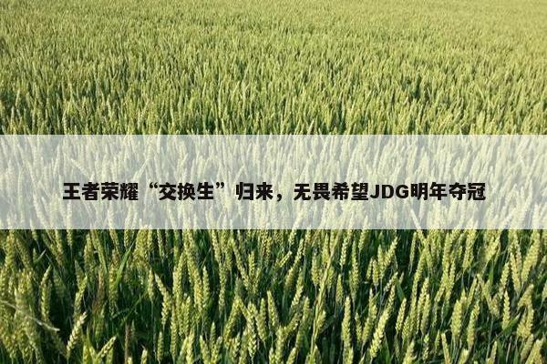 王者荣耀“交换生”归来，无畏希望JDG明年夺冠