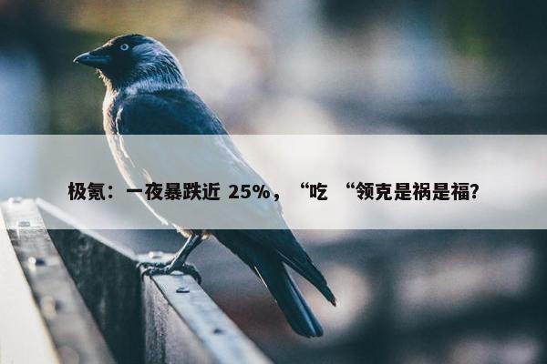 极氪：一夜暴跌近 25%，“吃 “领克是祸是福？