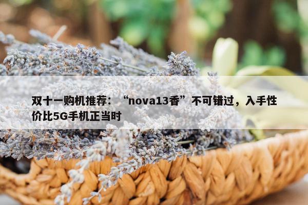 双十一购机推荐：“nova13香”不可错过，入手性价比5G手机正当时